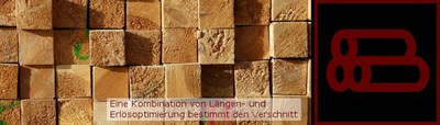 Holz