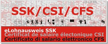 eLohnausweis SSK